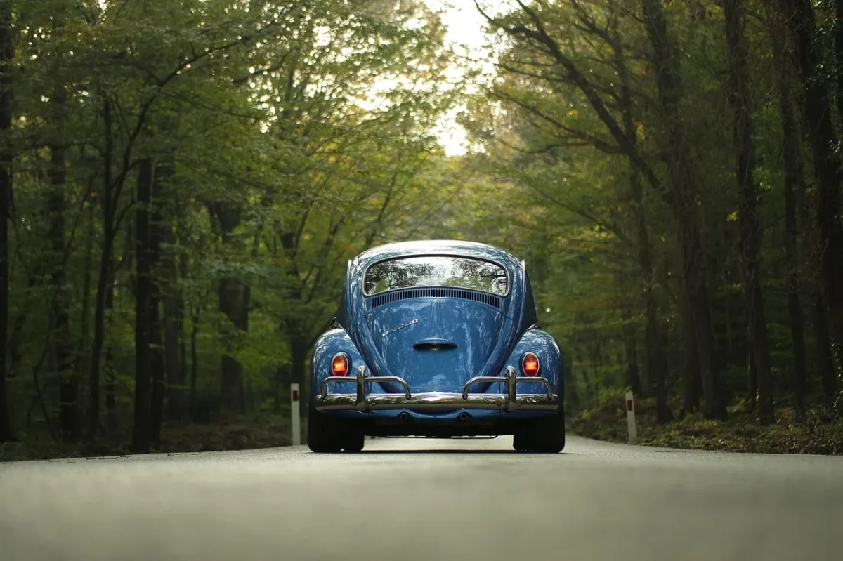 Volkswagen Garbus zaparkowany na stacji kontroli pojazdów w otoczeniu zieleni.
